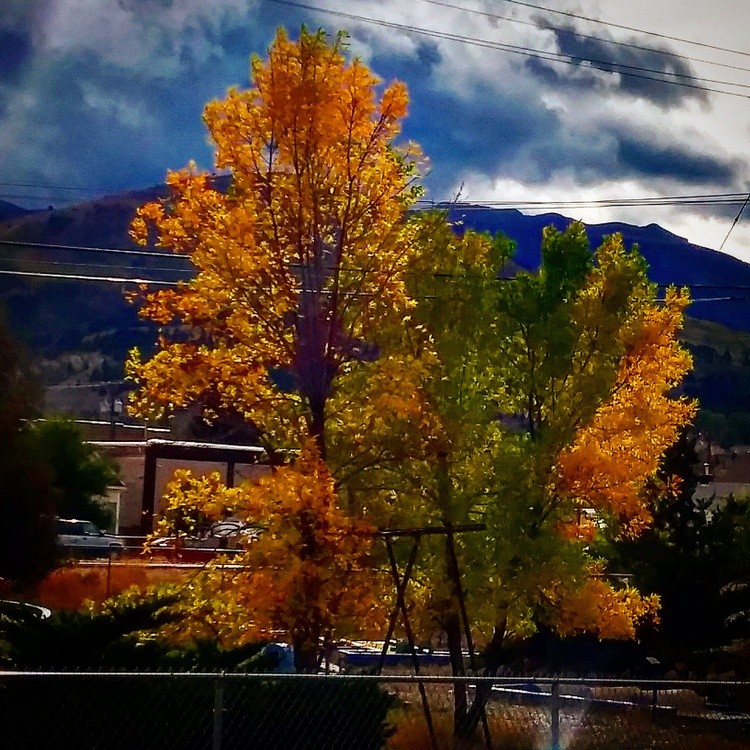 Fall has arrived