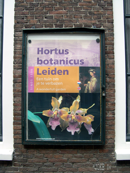 HORTUS  BOTANICUS