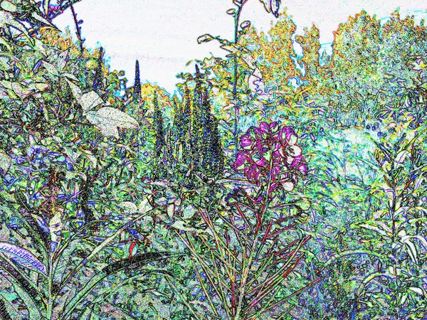 Wildflowers and Rosehips Digitized