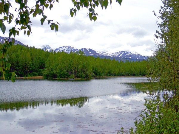 Cheney Lake Reflections I