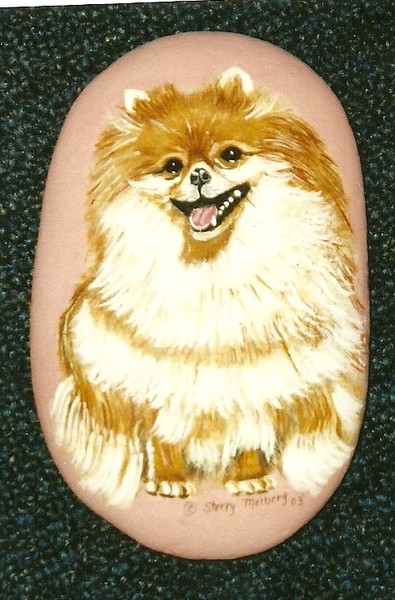 Pomeranian