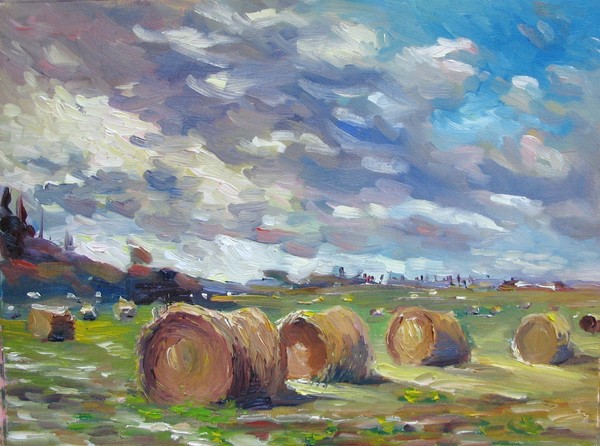 Hay bales in the coutry field 