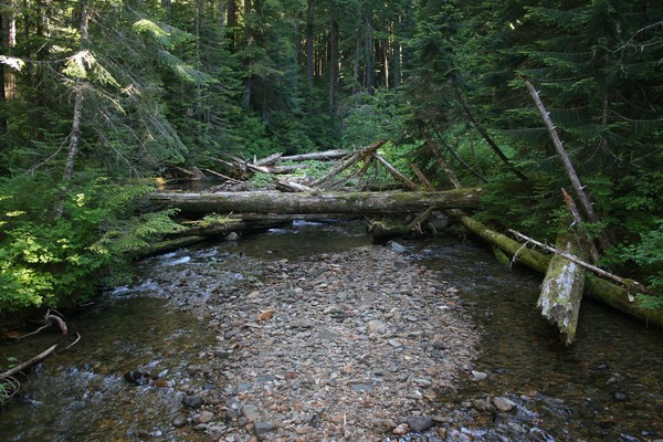 Meadow Creek
