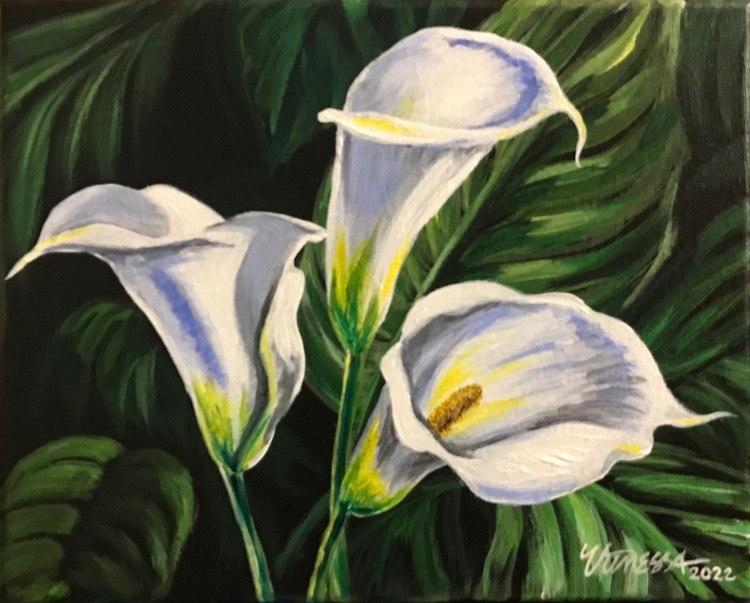 Calla Lilies