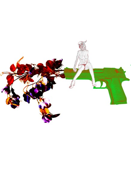 parrot girl on a gun