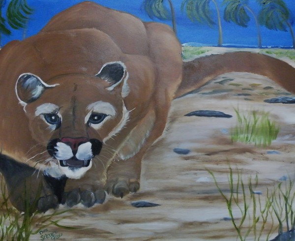 Florida Panther on the Beach
