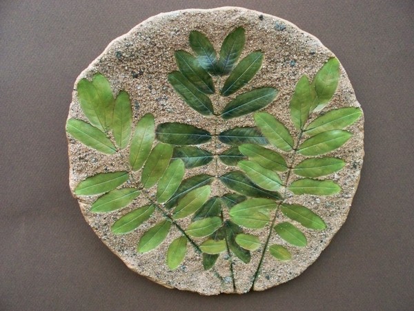Cassia Leaf