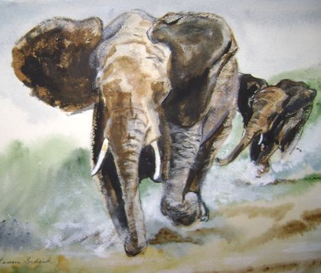 Elephant  walk