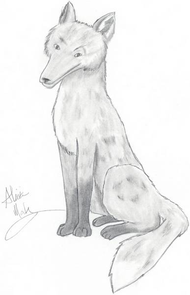 Sitting Fox