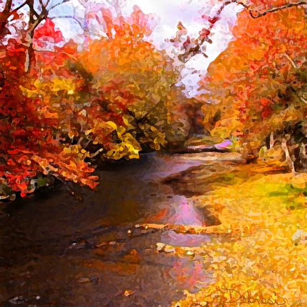 Fall Creek