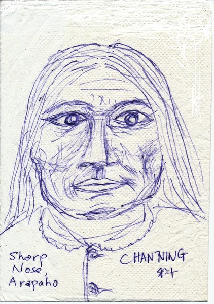 Ridiculous Portraits : Chief Sharp Nose