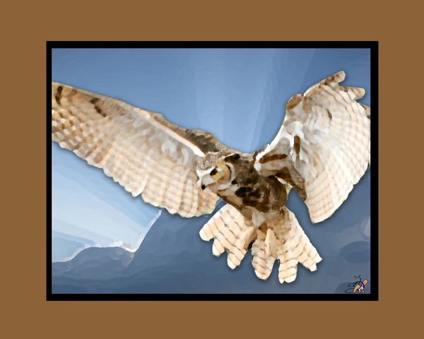 Owl in Flight