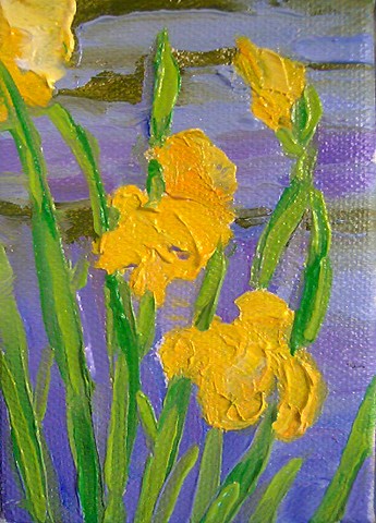 Pond and Yellow Irises