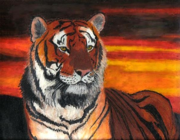 Sunset Tiger