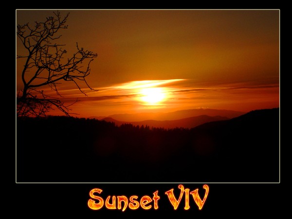 Sunset VIV