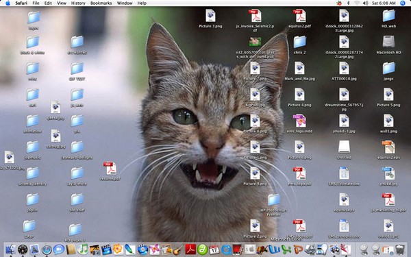 Kitty desktop