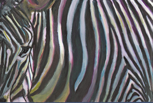 Lines of a Zebra