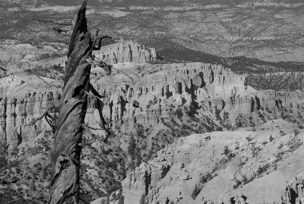 Bryce canyon -Utah