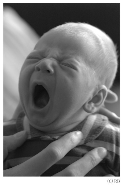 Little Boy, Big yawn