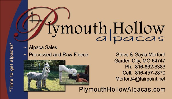 Plymouth Hollow business card/logo design