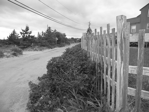 Weathered Fence