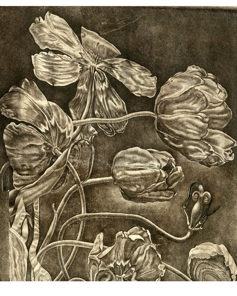 Tulips. Etching/Fragment