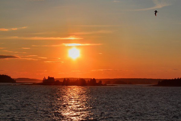 Schoodic Sunset with Island Lighthouse 2