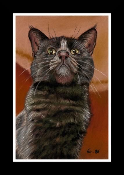 nc art orig pastel black cat 