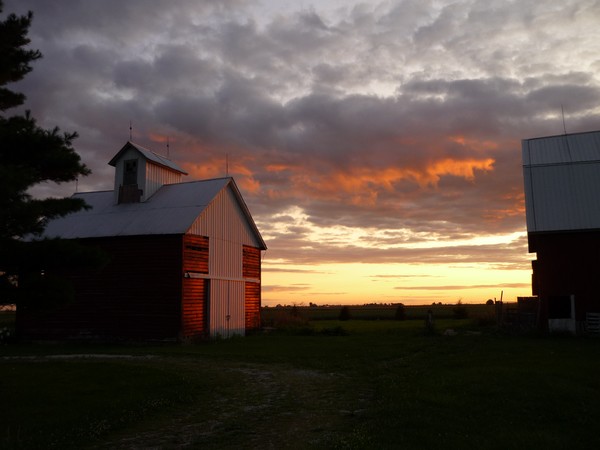Sunset On The Farm