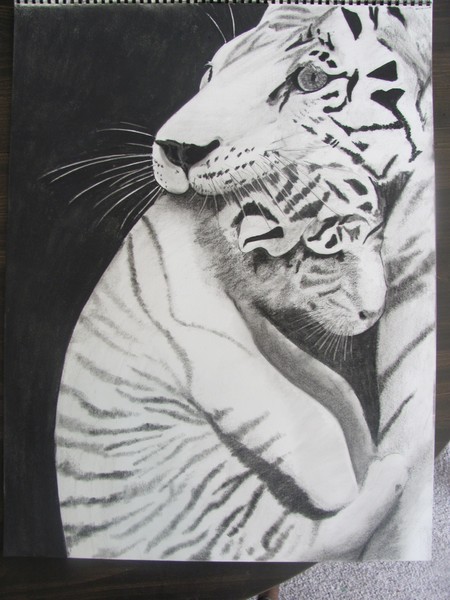 Tigress and cub