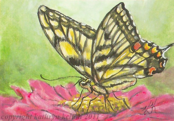 Swallowtail Butterfly Floral ACEO