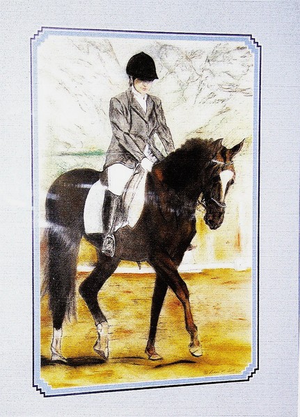 Dressage Lady of the Moment