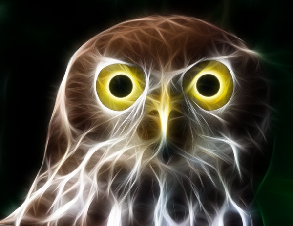 Mistical Owl