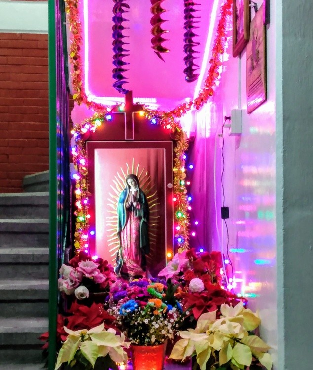 karen muro virgen de Guadalupe