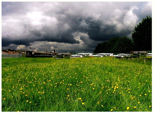 Into the storm