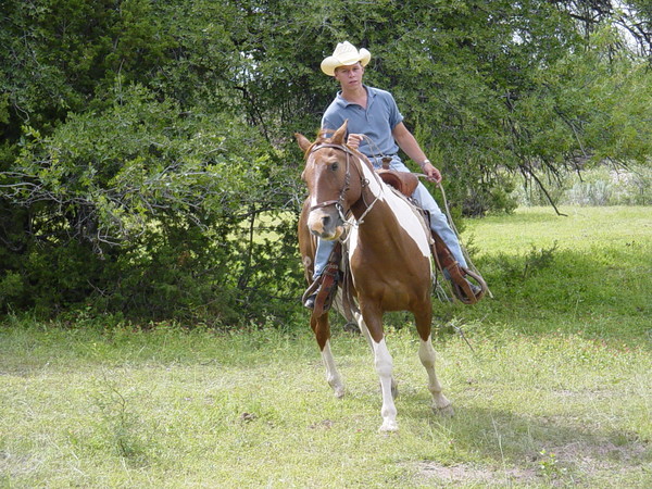 Ride-um Cowboy