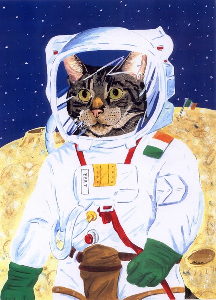 Astronaut Bert: First Irish Cat in Space
