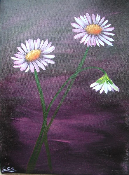 purple daisy's