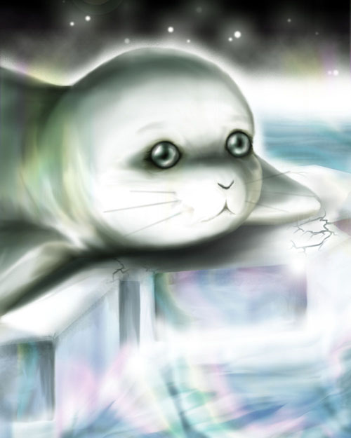 Aurora Seal