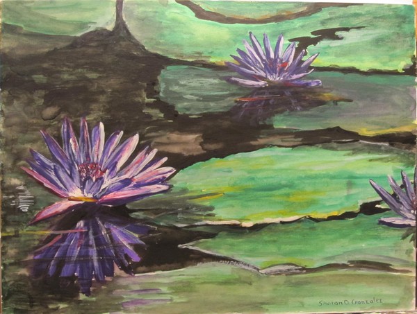 Waterlilies