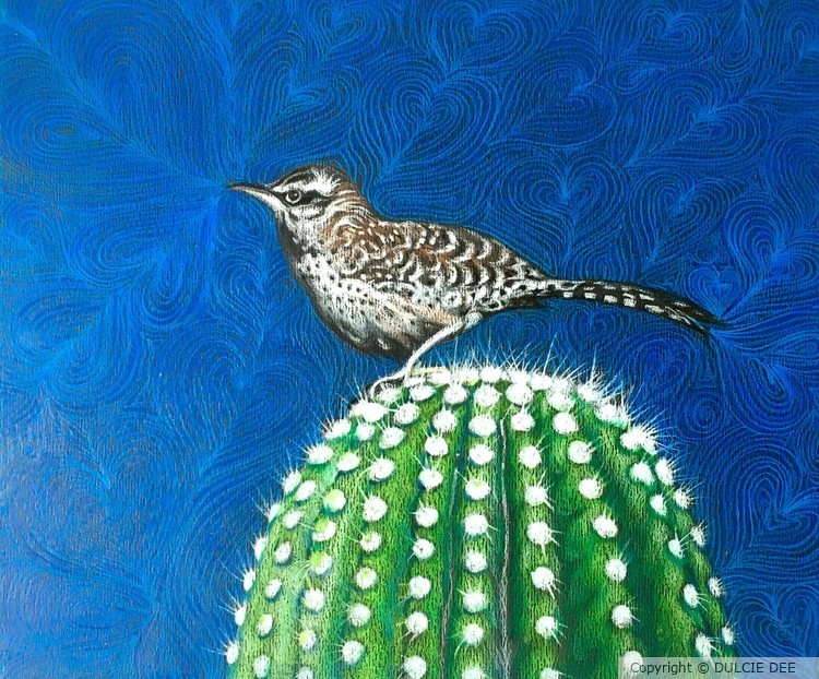 CACTUS WREN LOVE SERENADE