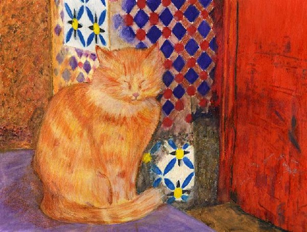 Turkish Cat