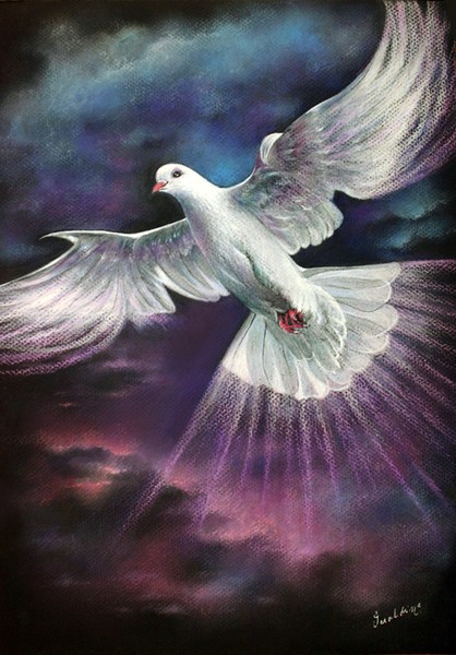 Spirit Dove