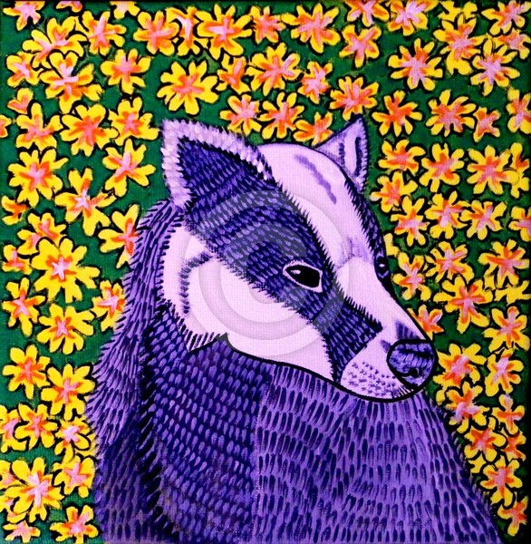Badger in Primroses