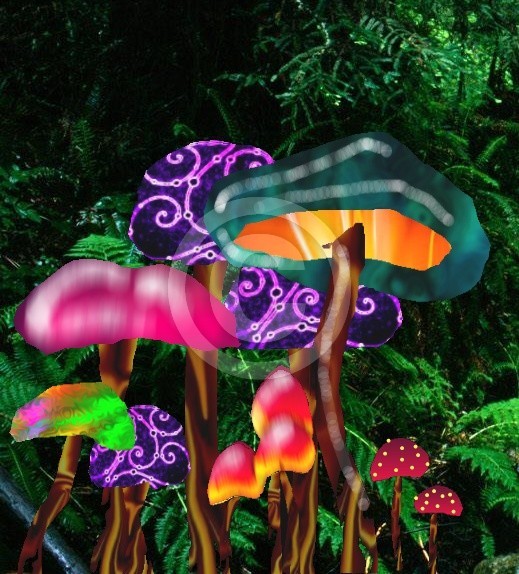 Funshrooms