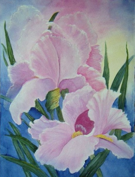 Pink Irises