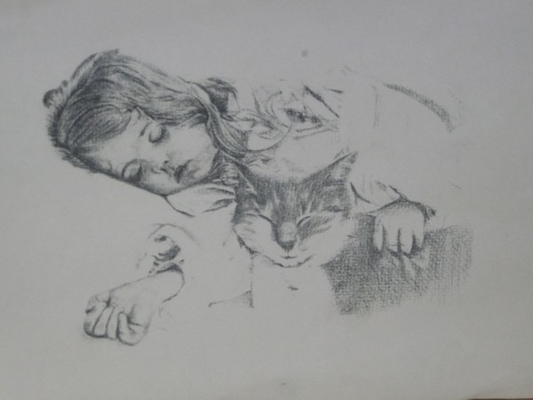 Sleeping Girl and Cat.