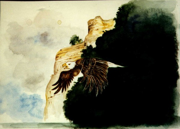 Eagle Over Grafton