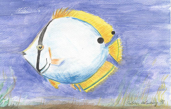 Spotfin Fish