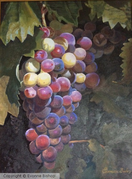 Old World Grapes